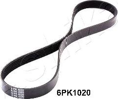 Ashika 112-6PK1020 - V-Ribbed Belts www.avaruosad.ee