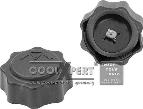 BBR Automotive 001-10-17014 - Sealing Cap, coolant tank www.avaruosad.ee