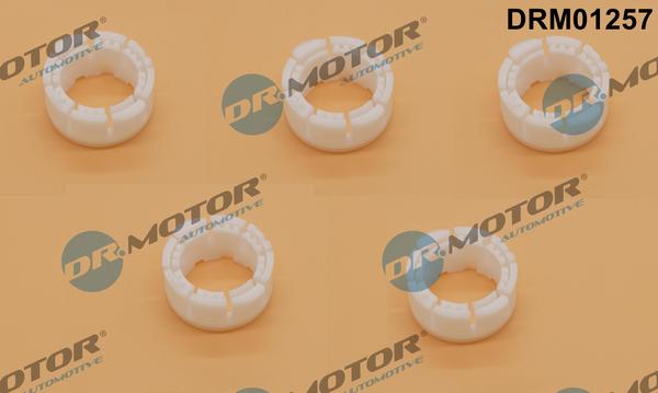 Dr.Motor Automotive DRM01257 - Втулка, шток вилки переключения www.avaruosad.ee