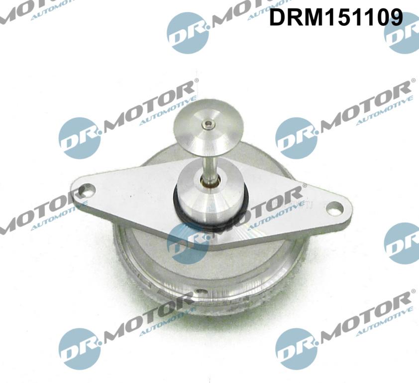 Dr.Motor Automotive DRM151109 - Клапан возврата ОГ www.avaruosad.ee