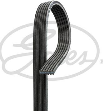 Gates 6DPK1817 - V-Ribbed Belts www.avaruosad.ee