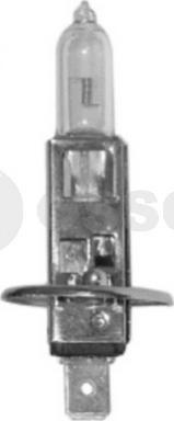 OSSCA 02489 - Bulb, outline lamp www.avaruosad.ee