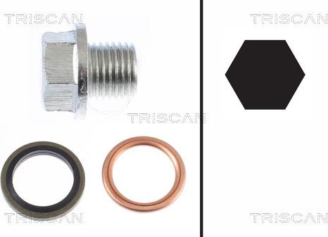 Triscan 9500 1001 - Sealing Plug, oil sump www.avaruosad.ee